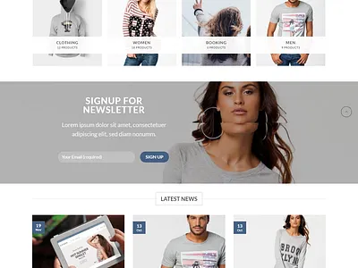 WordPress E-commerce website landing page website
