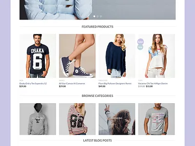 WordPress E-commerce website landing page website
