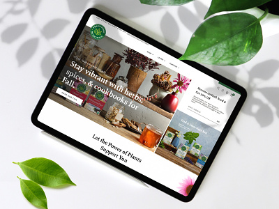 Traditional Medicinals - Website Redesign ecommerce food and drink herbal lifestyle shopify tea traditional medicinals web design web development