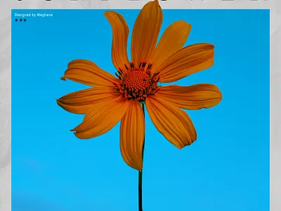 Poster graphic design poster poster design