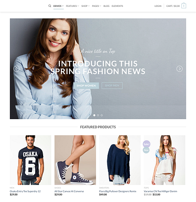 WordPress E-commerce website landing page website