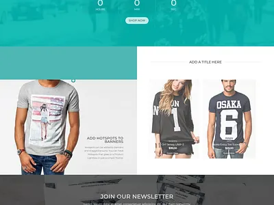 WordPress E-commerce website landing page website