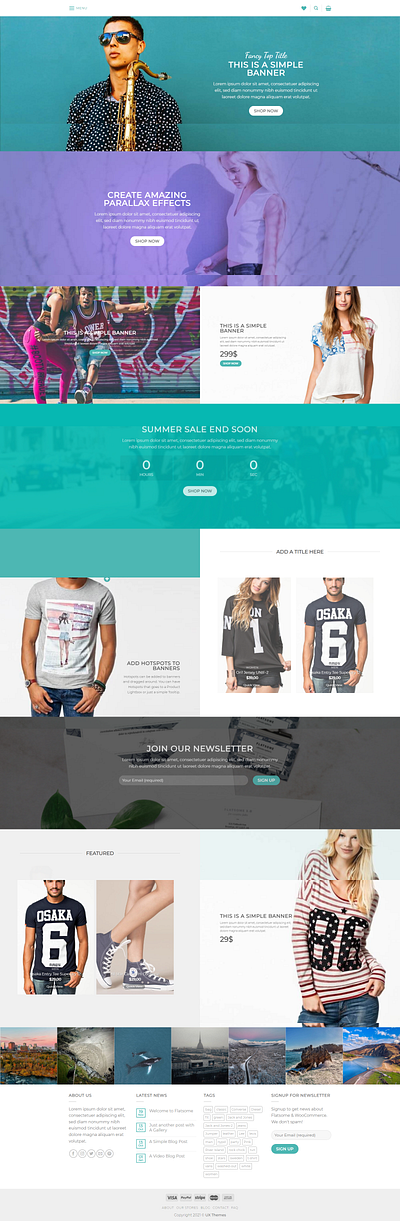 WordPress E-commerce website landing page website