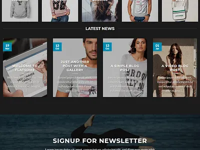 WordPress E-commerce website landing page website