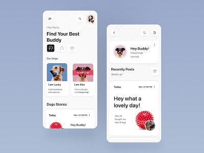 Pets Stories App app appdesign cats cleanui design dogs interface light lightmode lightui mobile mobileui pets stories ui userinterface virtualadoption virtualapp virtualpets visualui