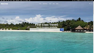 Beaches Travel Web-site branding typography ui