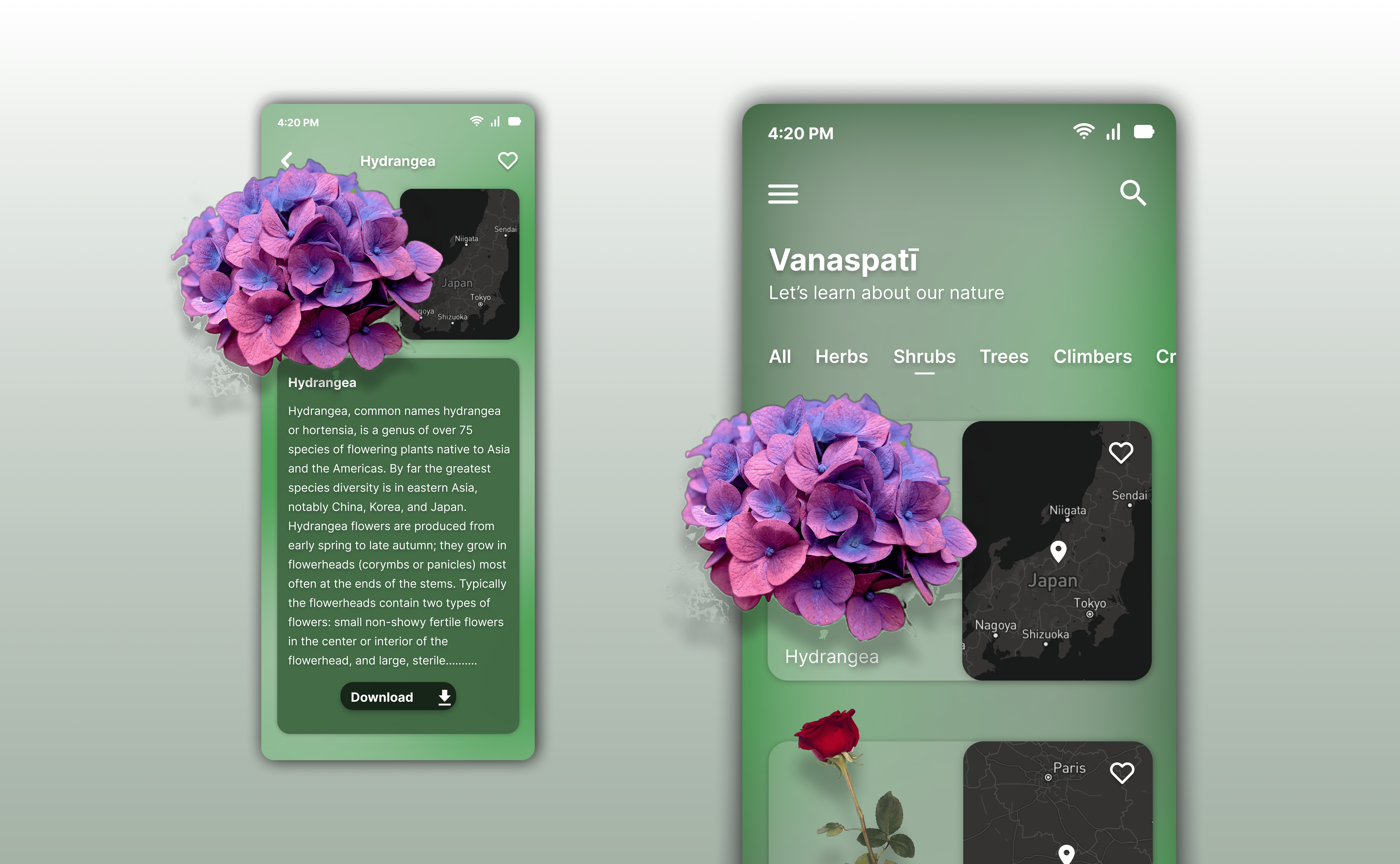 Example of Mobile App UI UX Design