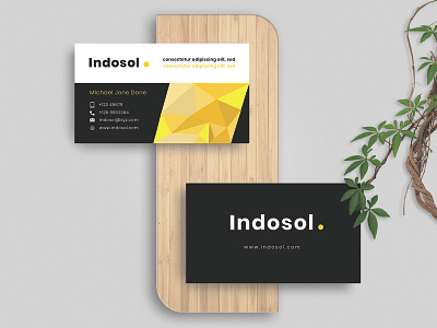 Indosol - Business Card business card creative design graphic design illustration modern personal branding studio