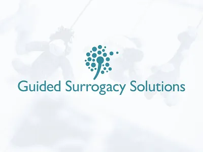 Guided Surrogacy Solutions