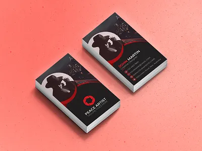Professional Artist Business card artist branding design graphic design illustration photographer photography professional artist studio typography