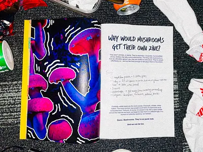 Zine Design 2d 2d illustration art book design cover design design digital art graphic design illustration zine zine design