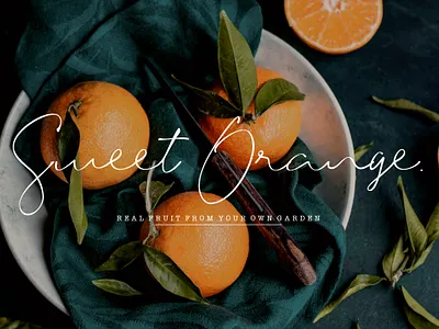 The Brave - Modern Signature Beautiful Fonts apparel font beautiful font boho font branding font brithday font canva font classy font cricut font procreate font signature