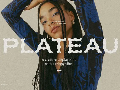 Plateau Font - Creative display font with a trippy vibe animation branding canva font design fonts graphic design instagram template logo logo font plateau font vibe font
