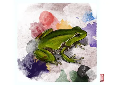 Fluorescent Frog, 2015 amphibian animals artistic cartoon design frog illustration perspective photoshop watercolor