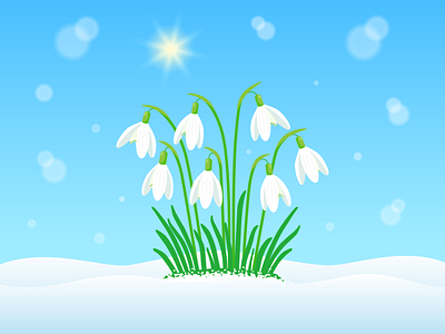 Hello Spring !🌞 awakening of nature design digitalart digitalillustration first first flower graphic design illustration nature natute illustration sky snowdrops spring spring flower spring illustration sun vector vector illustration white flowers