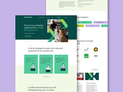 Flexparency branding: Website brand identity branding digital design digital designer flexparency graphic design web design webdesign website