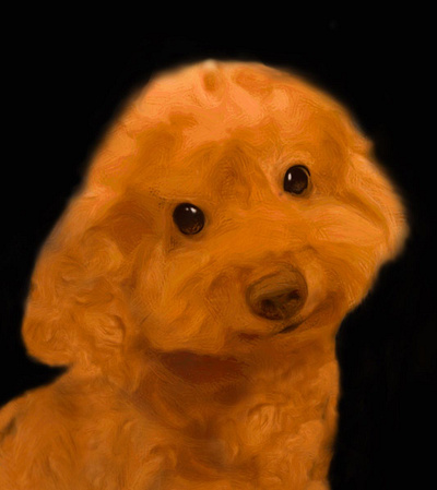 MOMO animal art design digitalart dog illustration