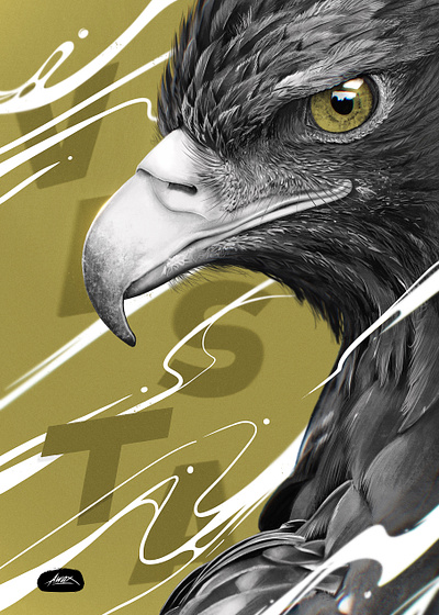 VISTA aigle art awax design design digital painting drawing eagle illustrator procreate