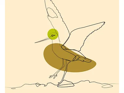 Bird One Line Drawing Vector Graphic Illustration line drawing