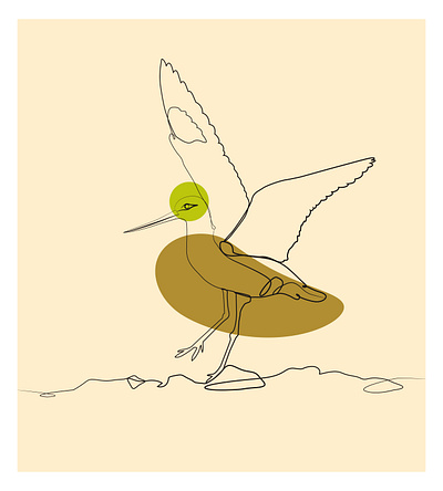 Bird One Line Drawing Vector Graphic Illustration line drawing