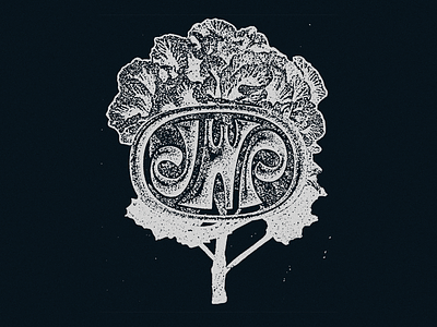 JWP — Photographer adirondacks illustration lake placid lettering new york outdoors photographer texture type vin conti