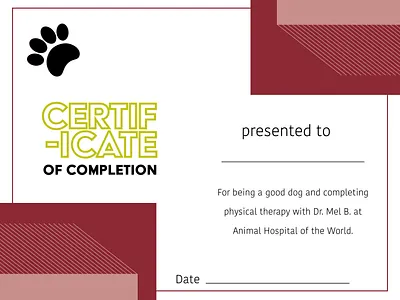 Dog Physical Therapy Certificate certificate certificate design design graphic design vector