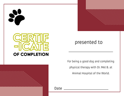 Dog Physical Therapy Certificate certificate certificate design design graphic design vector