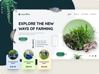 Aqua Ponics Website branding design graphic design typography ui ux