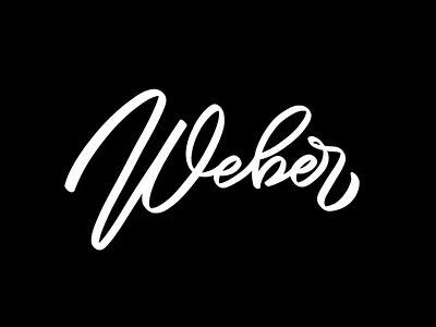 Concept logo apparel design branding calligraphy design graphic design hand lettering handlettering letter lettering ligature logo logotype motion graphics print script streetwear tip type typography vector