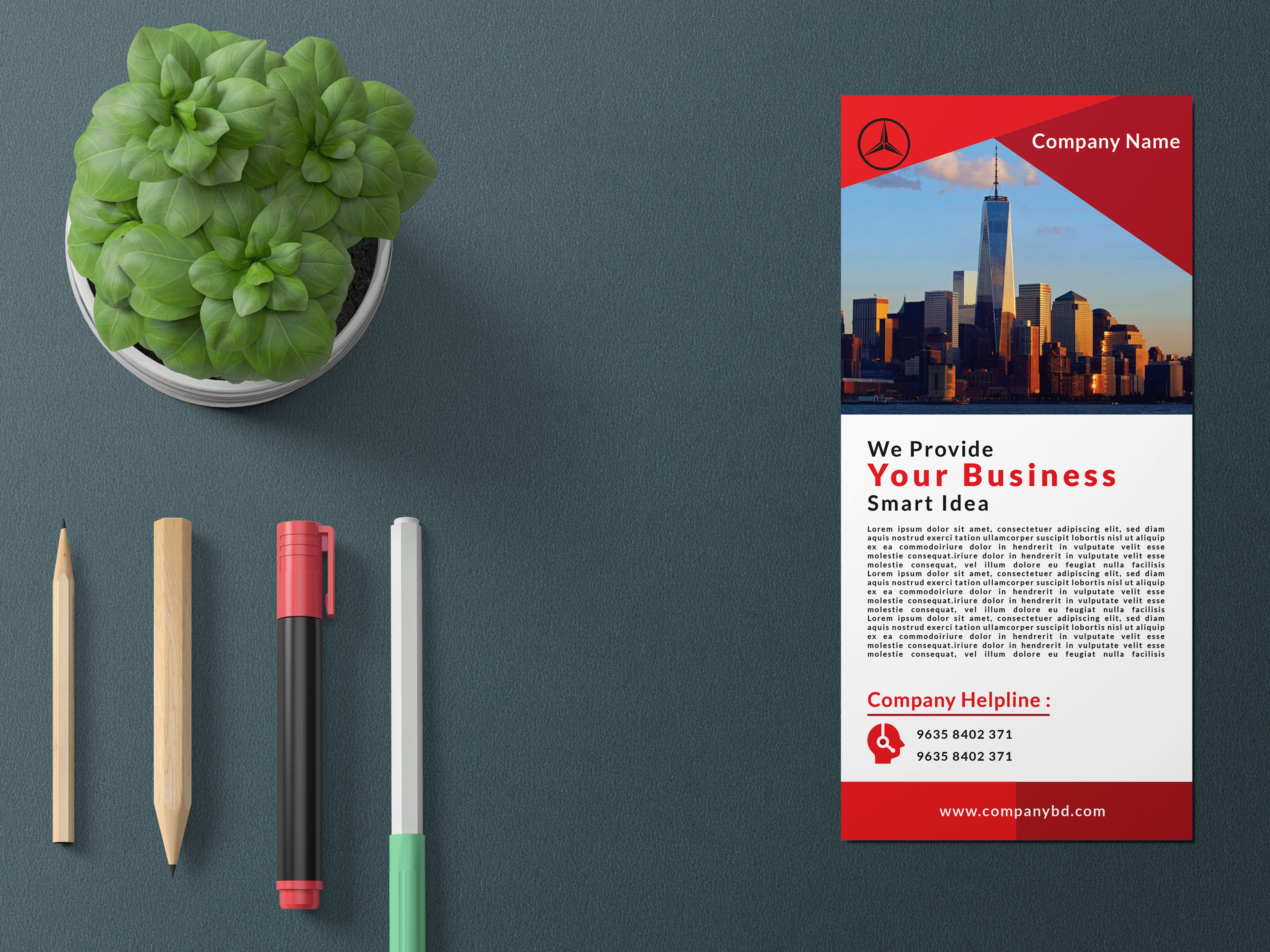 DL Flyer branding design graphic design illustration