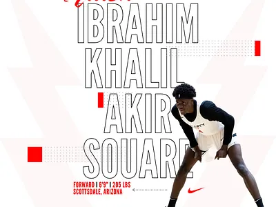 "Flash" app basketball branding canva design graphic design illustration