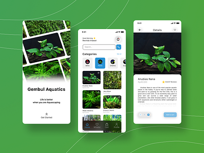 Aquascape E-commerce by Revinda Imawan aquarium aquascape branding design discover e commerce ecommerce fish mobile plant plants product design shop tank ui uiux design ux