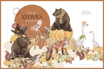 Autumn Animals & Pumpkin PNG Graphic design graphic design illustration