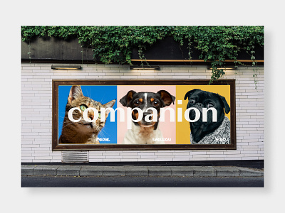 Companion - Billboard adoption ads advertising animal animal adoption billboard branding color design graphic design illustration logo ui web design