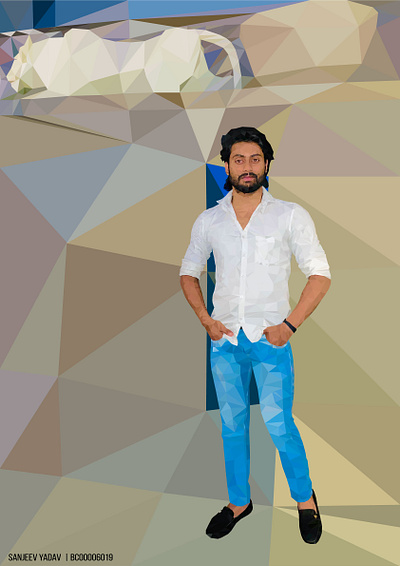 Low Poly Art graphicdesign illustration motion graphics polyart vector