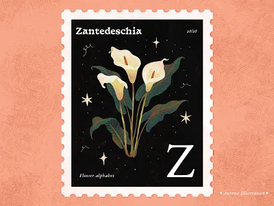 Flower alphabet 26/26 - Zantedeschia abc alphabet art artist book illustration children illustration design draw flower flower alohabet flower art flower illustration illustration illustrator letter z licensing plant plant art plant illustration postmark