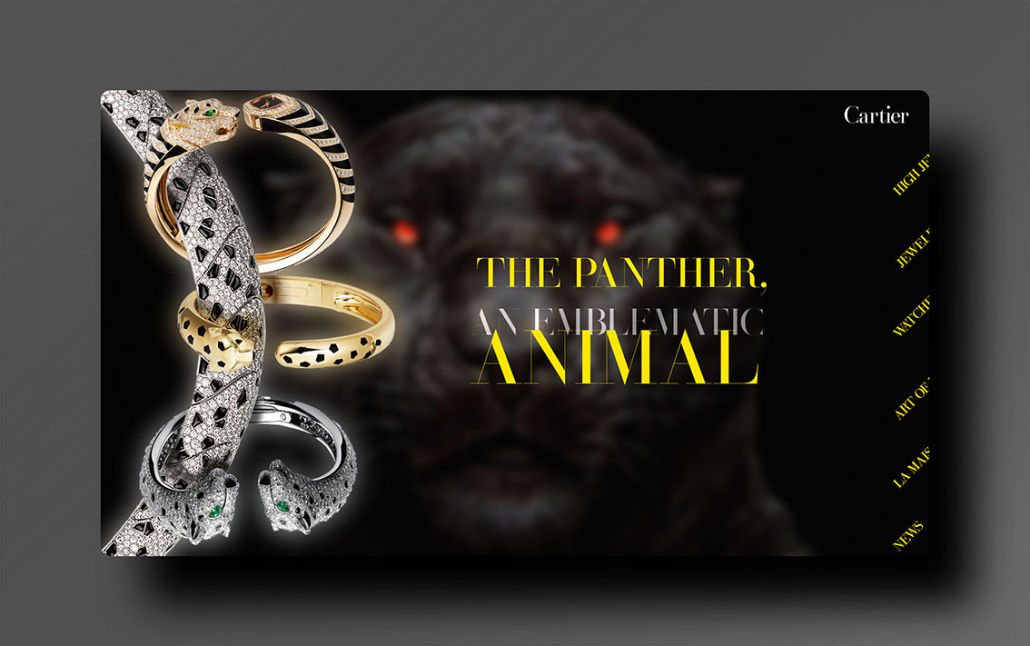 UI Design for Cartier branding cartier ui ux web design