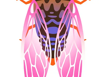 Cicada animation biology bug cicads illustration insect nature procreate