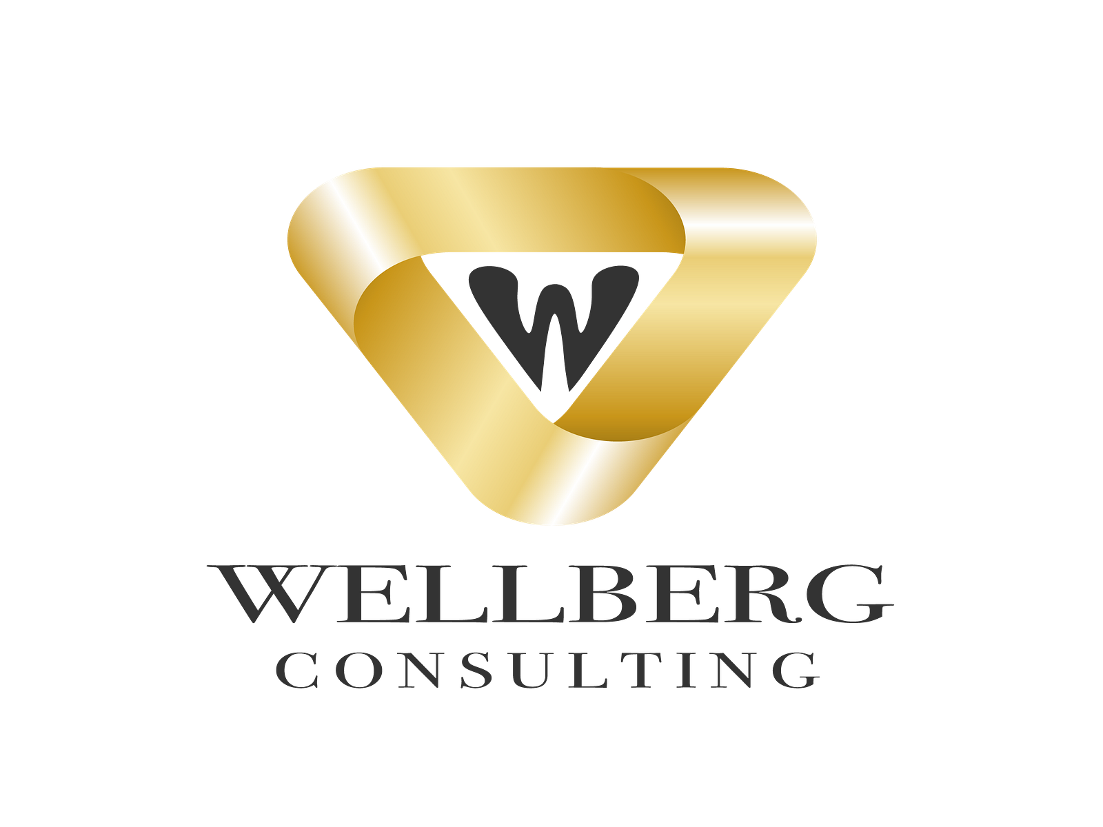 logo-project-wellberg-consulting-by-webwolfdesign-on-dribbble