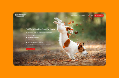Pet Munchies landing page cat treats css design dog dog treats graphic design html ui ui design ux web development website design