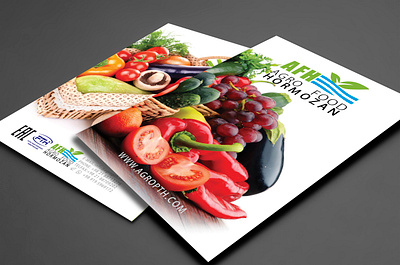 AGRO FOOD catalog design branding catalog catalog design graphic design