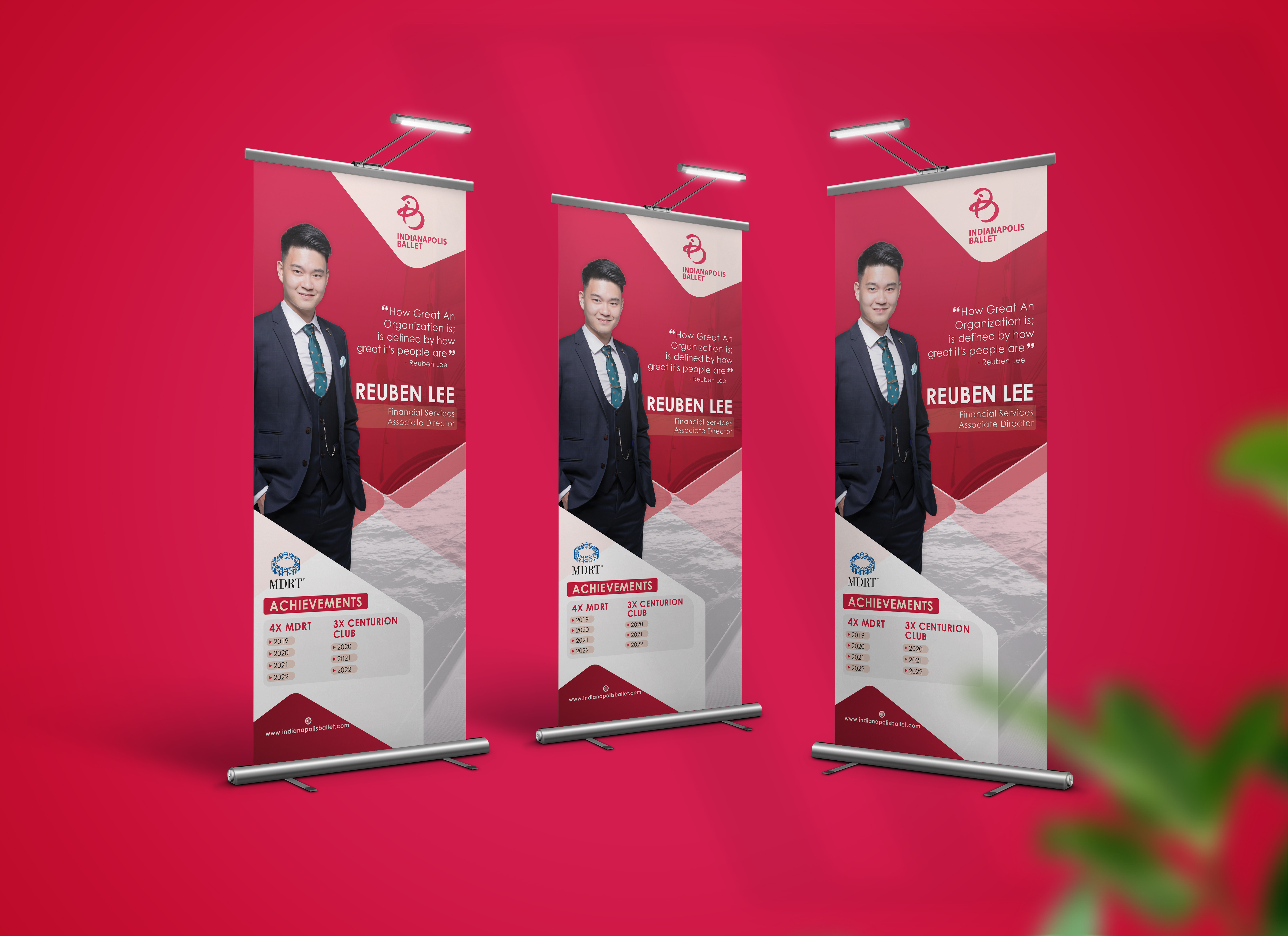 Example of Roll Up, Retractable, Pull Up Banner