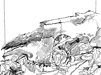 Death in roses black and white illustration book illustration dark illustration gothic gothic illustration illustration ink painting roses scull traditional illustration