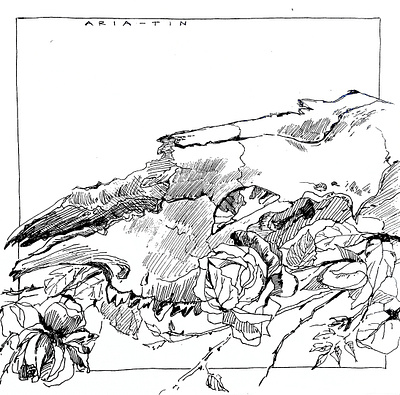 Death in roses black and white illustration book illustration dark illustration gothic gothic illustration illustration ink painting roses scull traditional illustration