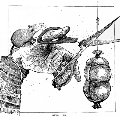 Forbidden fruit black and white illustration black and white style book illustration children book illustrator forbidden fruit hands illustration ink painting sousage