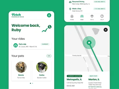 Fetch, a proposed feature for Rover.com map mobile pets product design transport ui ux