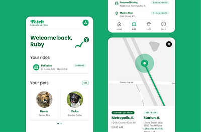 Fetch, a proposed feature for Rover.com map mobile pets product design transport ui ux