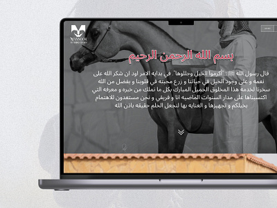 Horse training center - UIUX and development. branding design development figma logo ui uiux ux website website design