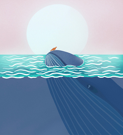 Whale & Bird digitalart illustration ocean procreate sunset whale