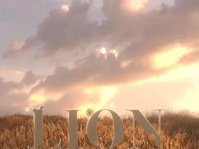 LION 3d graphic design illustration